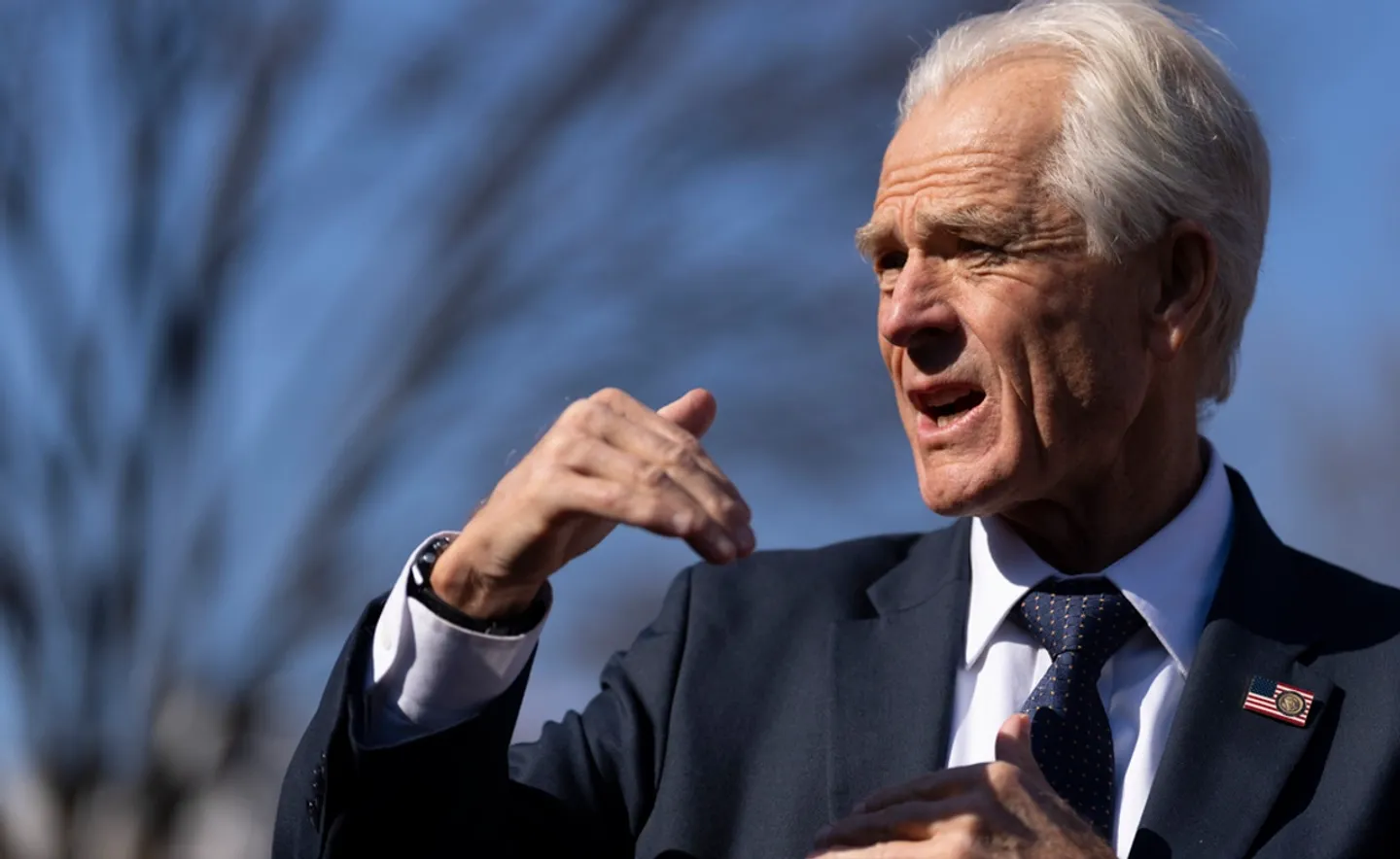 Trump adviser Navarro snubs Musk as 'car assembler' after latter's push for zero tariffs