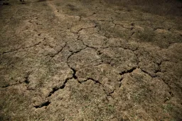 دو تالاب استان خوزستان در پی عدم تأمین حق‌آبه خشک شدند