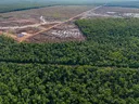 Deforestasi hutan Indonesia melonjak tajam pada 2025, sektor pangan dan energi jadi sorotan