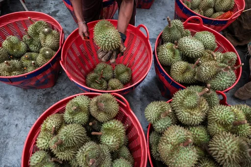Malaysia intai laluan darat melalui Thailand lonjak eksport durian ke China