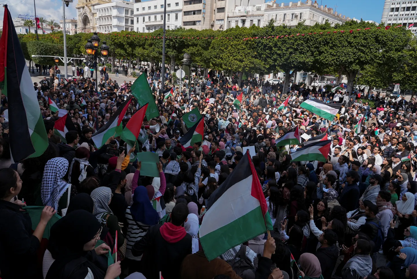 Des Algériens et des Tunisiens en route vers Gaza, des milliers de km pour casser le blocus