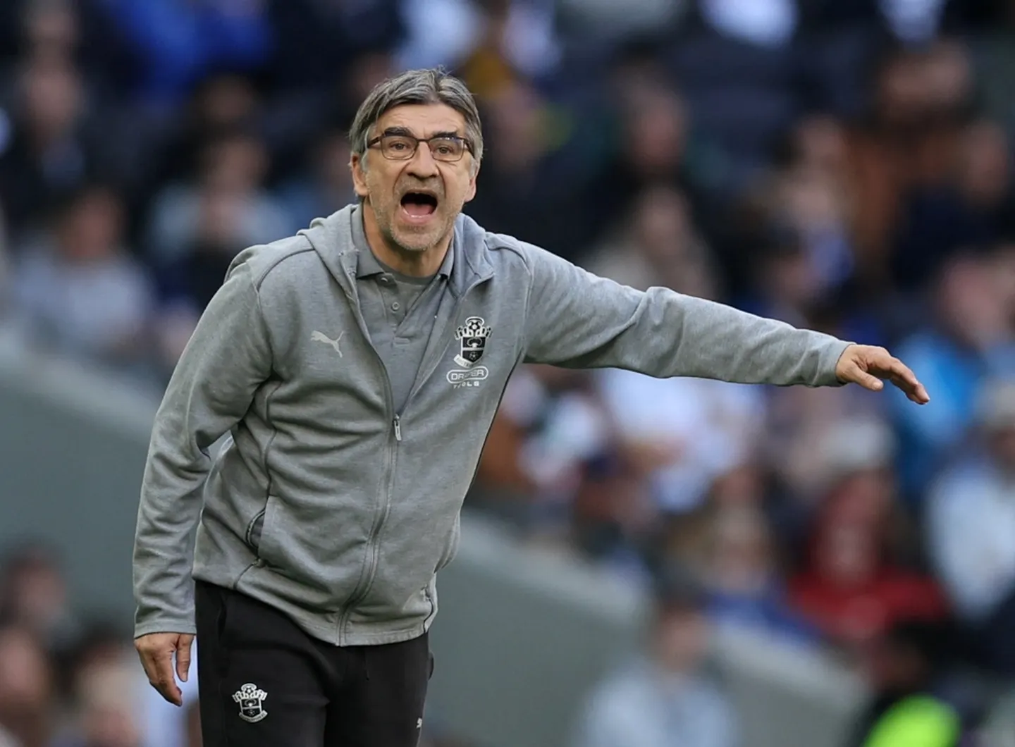 Southampton relegation: Rusk takes charge after club fires manager Juric