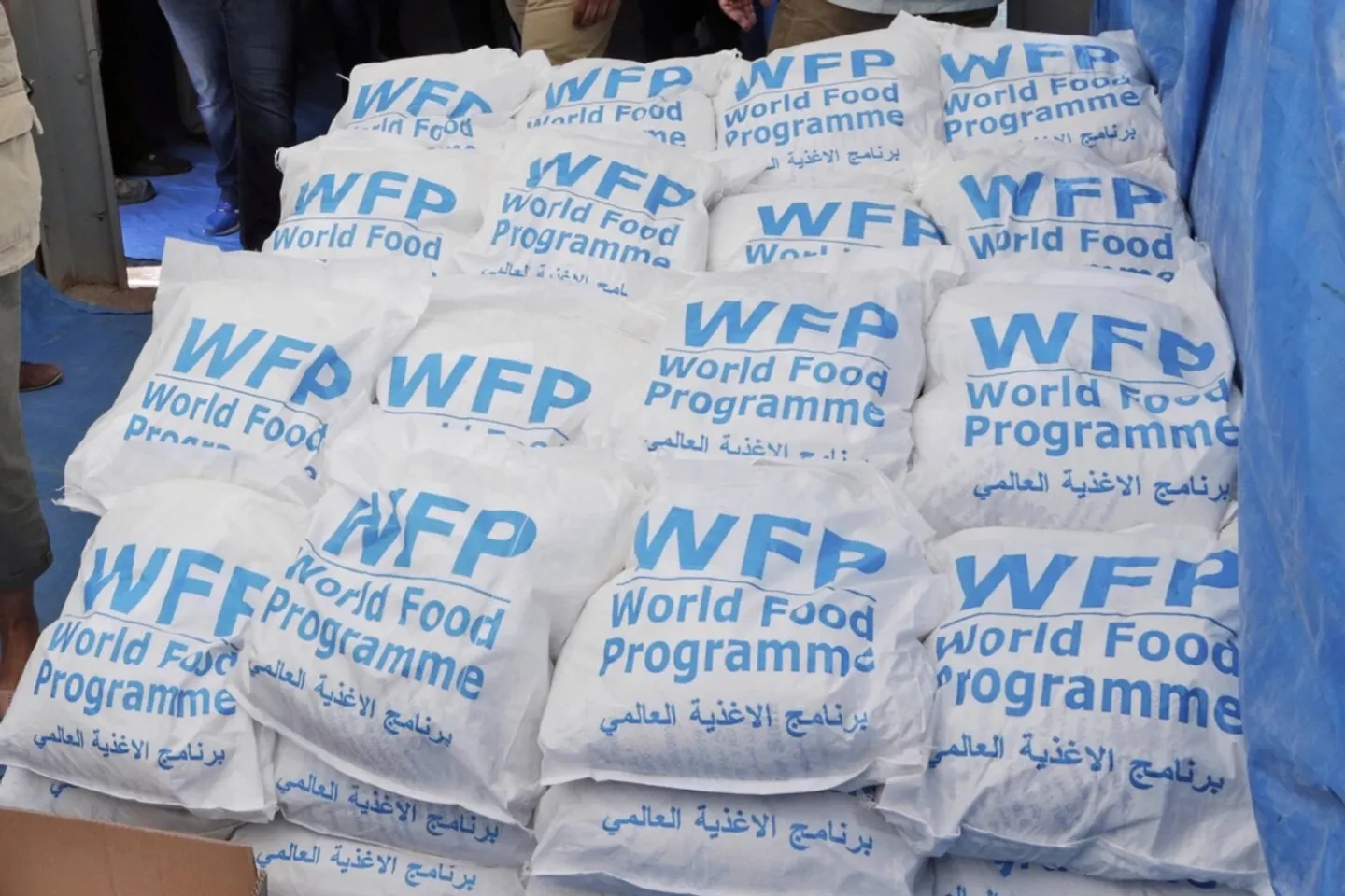 US cuts in life-saving food aid for 14 countries a 'death sentence' — WFP