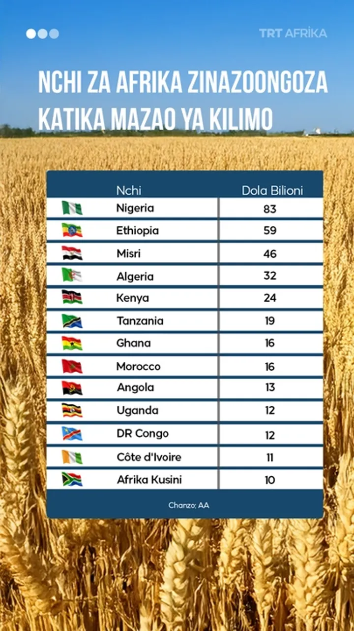 Nchi za Afrika zinazoongoza katika mazao ya kilimo