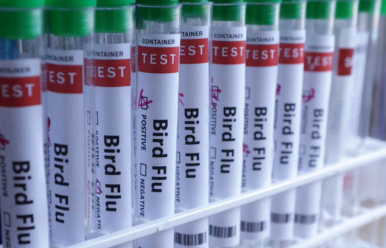 Three-year-old girl dies in Mexico's first human case of H5N1 bird flu ...