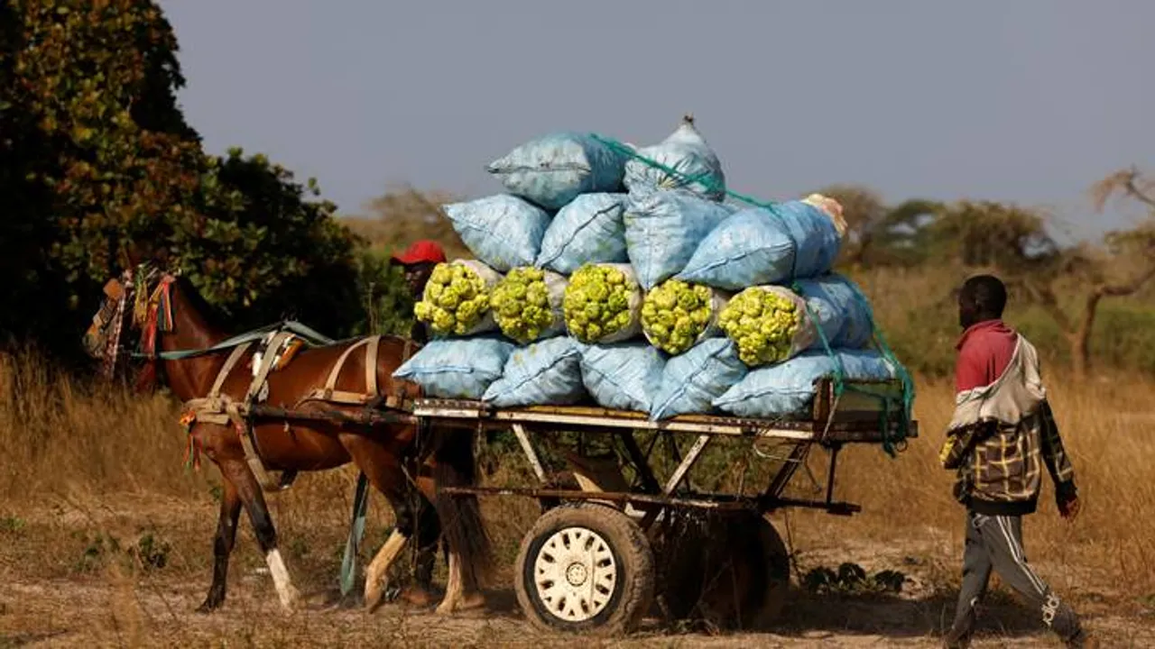 La BAD mobilise plus de 2 milliards de dollars pour l'agriculture du Nigéria