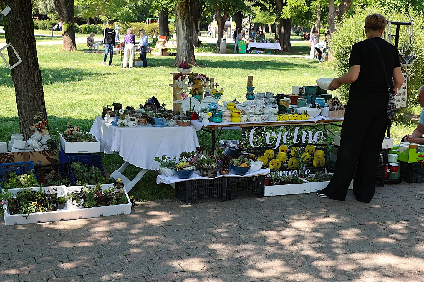 Mostar domaćin prvog Festivala cvijeća: Spoj prirode, tradicije i edukacije za zeleniju budućnost