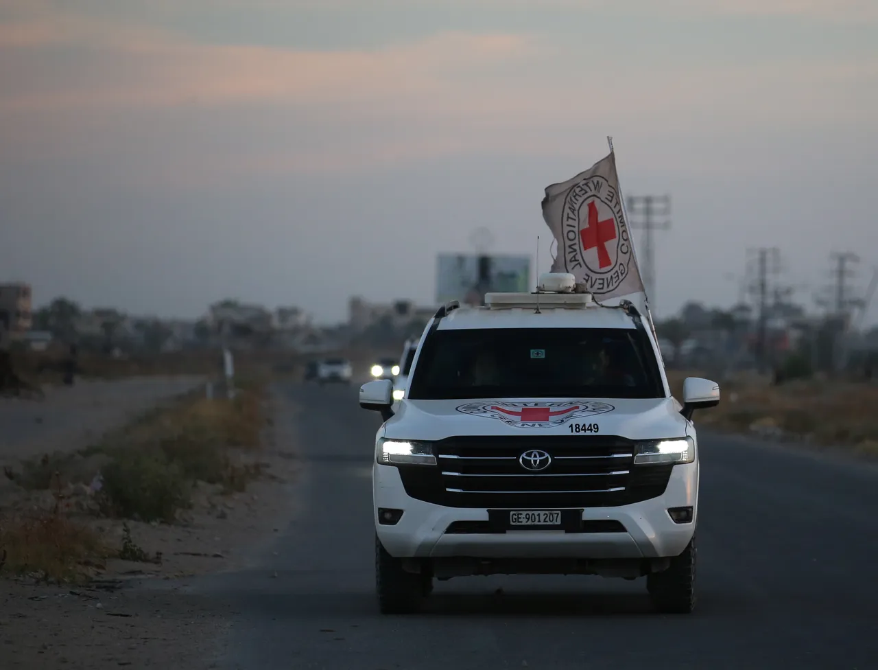 Red Cross calls for 'renewed' ceasefire after facilitating hostage release in Gaza