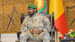 Mali's transitional president dissolves political parties
