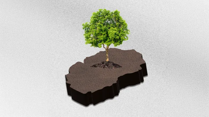 Ревизорски извештај: Во 22 од 34 општини нема минимум зеленило