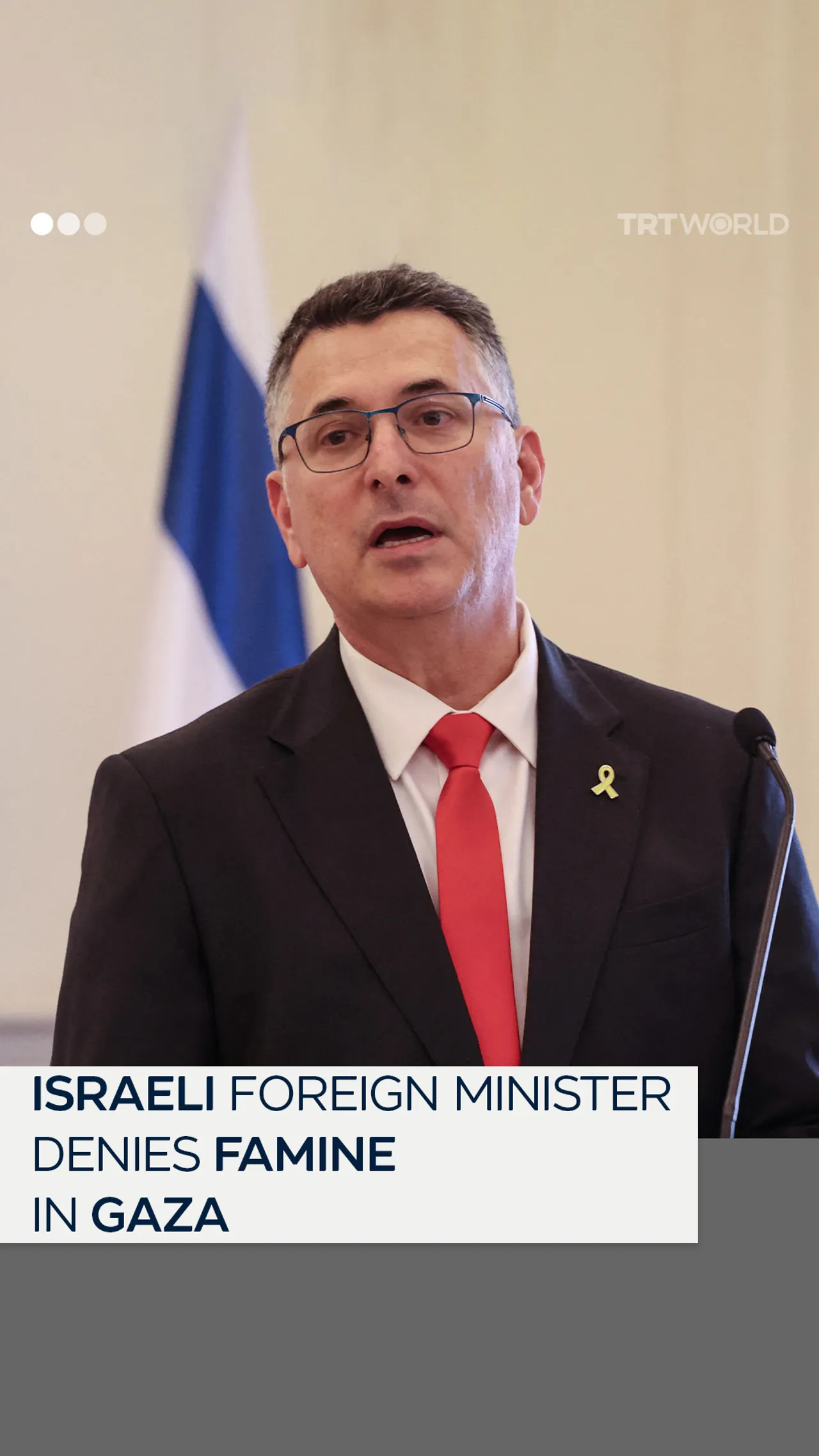 Israeli foreign minister denies famine in Gaza