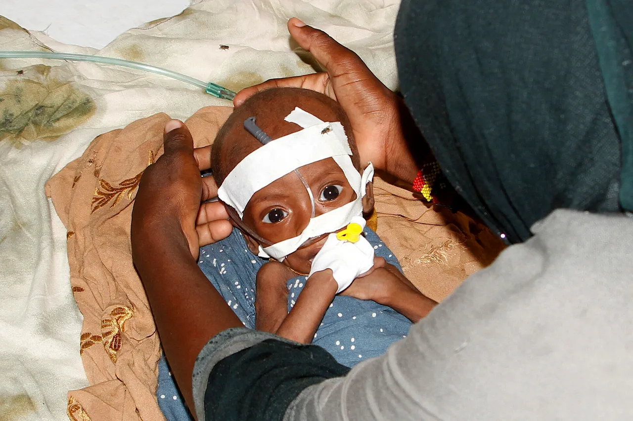 Drought pushes 6.5M Somalis into acute hunger: authorities, UN