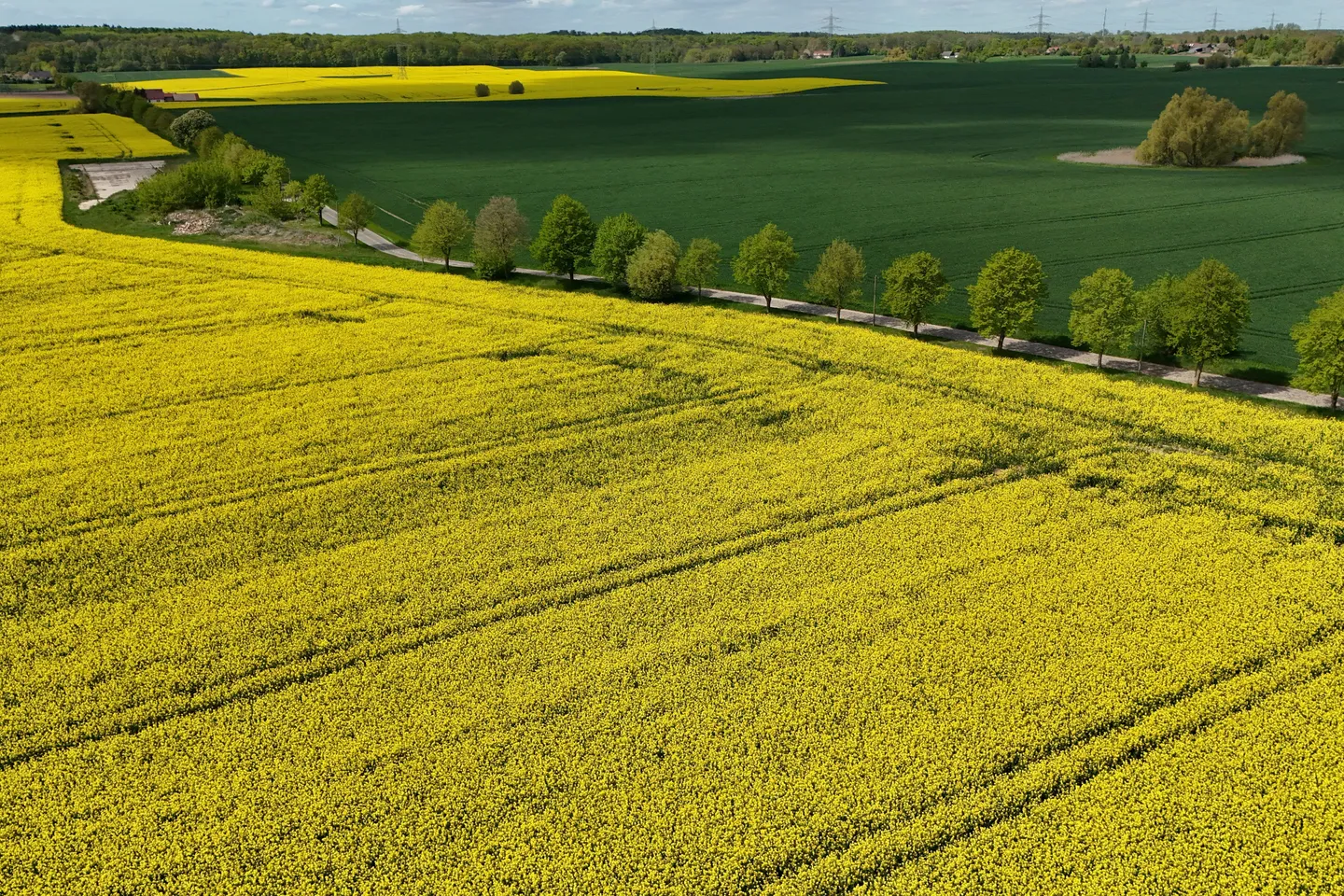 African Development Bank to launch carbon credits support facility