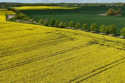 African Development Bank to launch carbon credits support facility