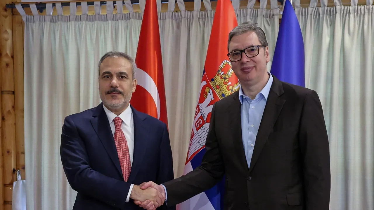 Turkish top diplomat meets Serbian president in Belgrade
