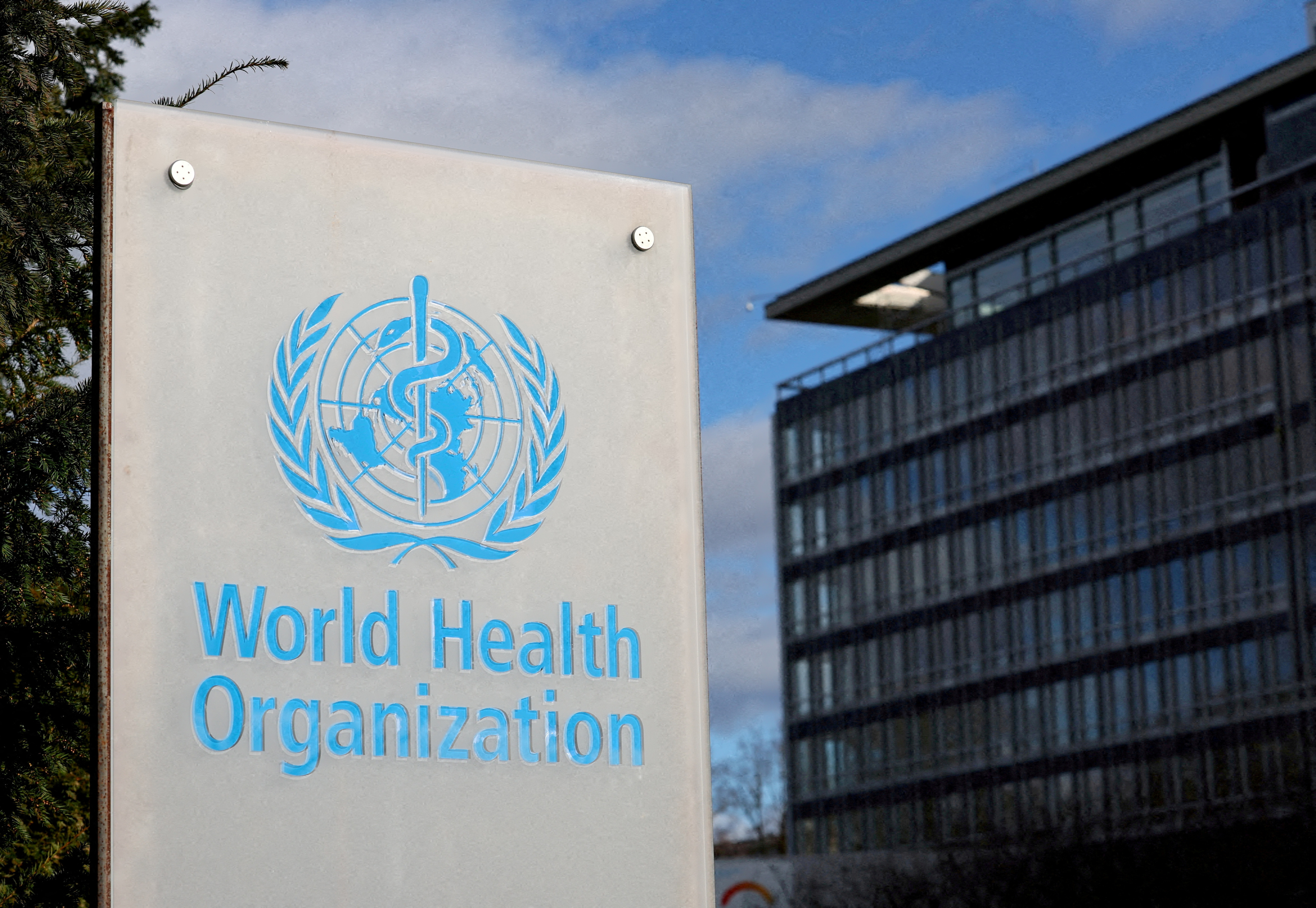 WHO adopts pandemic treaty to tackle future health crises
