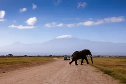 Tanzanie : des barrages dans les parcs pour limiter les conflits homme-faune en saison sèche