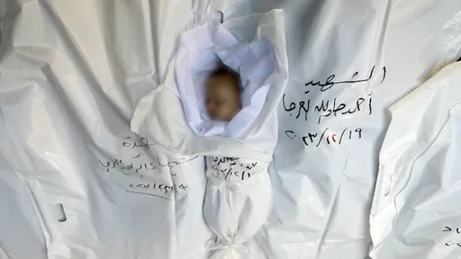 Israel is killing Palestinian babies in Gaza 'for a hobby': ex-military general