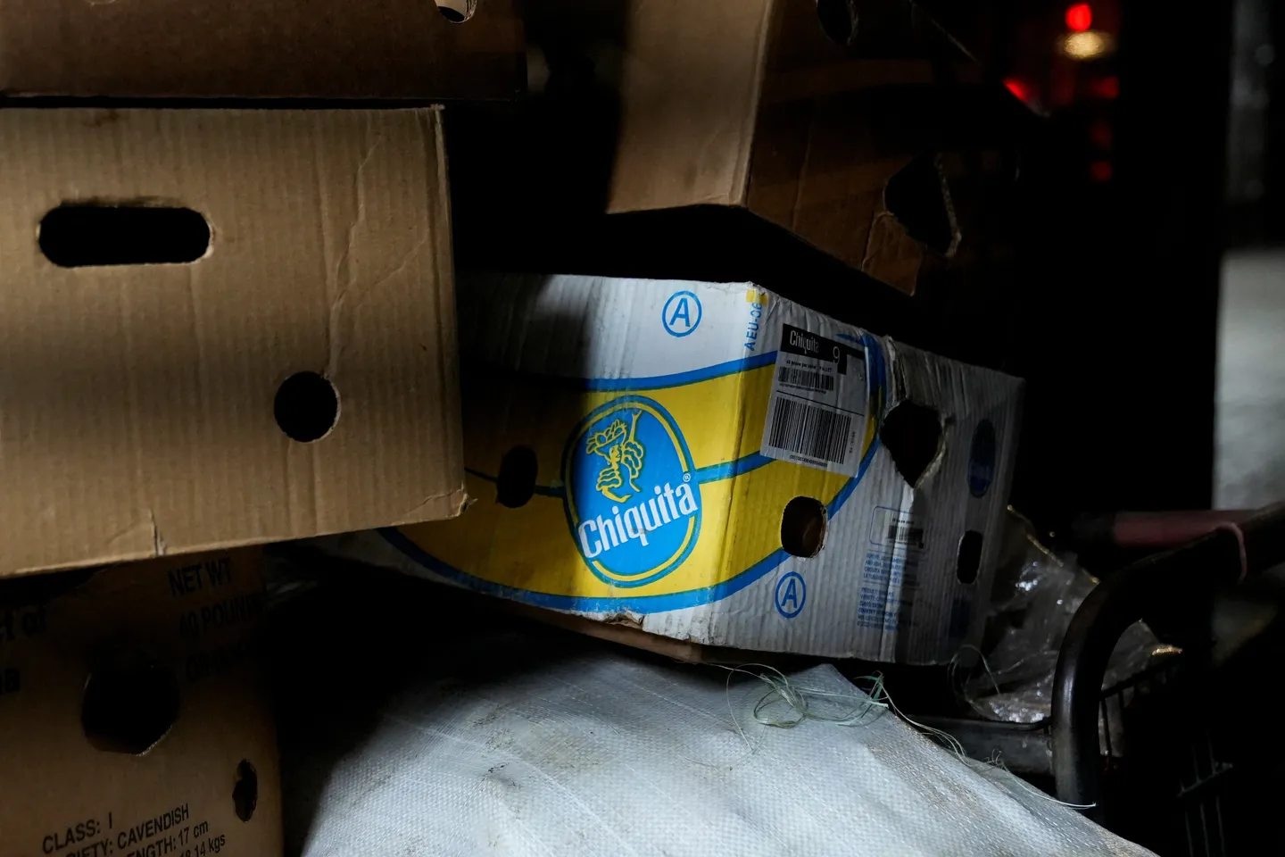 Chiquita entlässt Tausende Bananenarbeiter in Panama