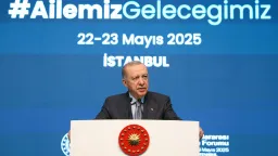 أردوغان يعلن السنوات العشر المقبلة "عقد الأسرة والسكان" في تركيا