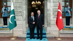 دیدار اردوغان و شهباز شریف در استانبول؛ تأکید بر تعمیق روابط دوجانبه و همکاری‌های منطقه‌ای