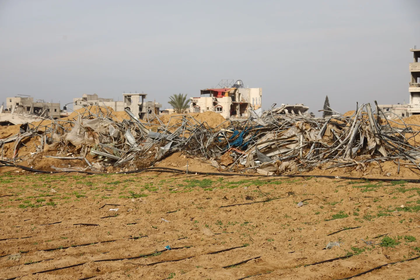 Israel's war leaves just 5 percent of cropland usable in Gaza: UN