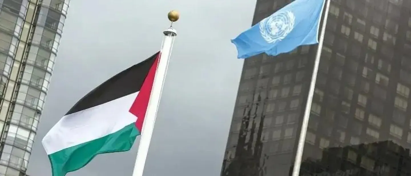 لأول مرة.. رفع عَلَم فلسطين في منظمة الصحة العالمية بعد تصويت رمزي