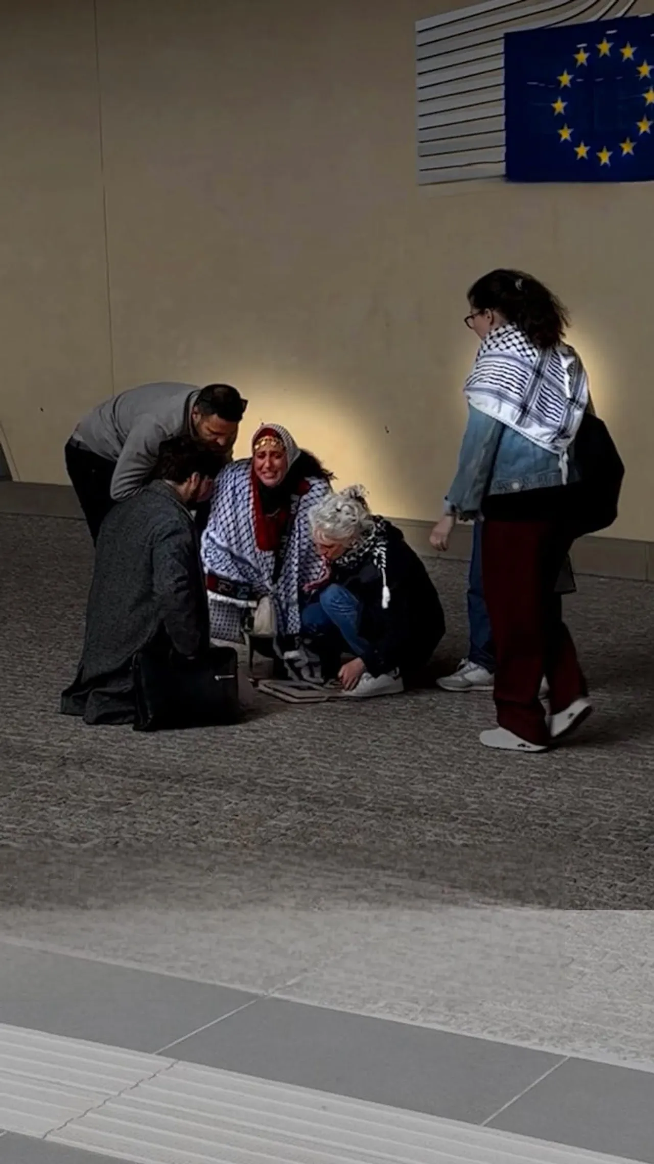 Aktivistja propalestineze shpërthen në lot përpara Komisionit të BE-së