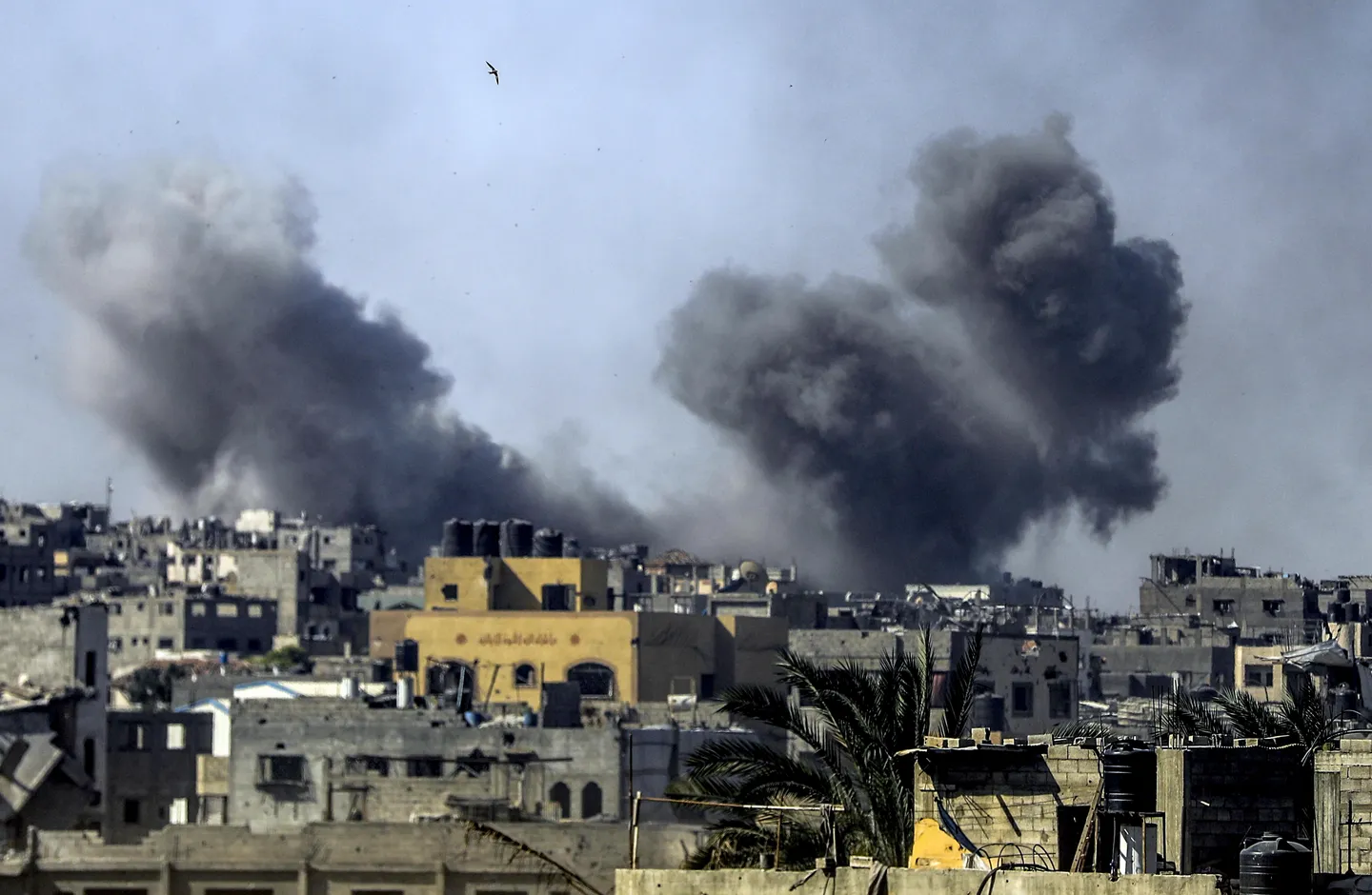Hamas saúda acordo internacional para sancionar Israel por genocídio em Gaza