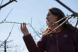 Esta ingeniera chilena usa residuos de cosechas y crea un carbón que recupera la tierra