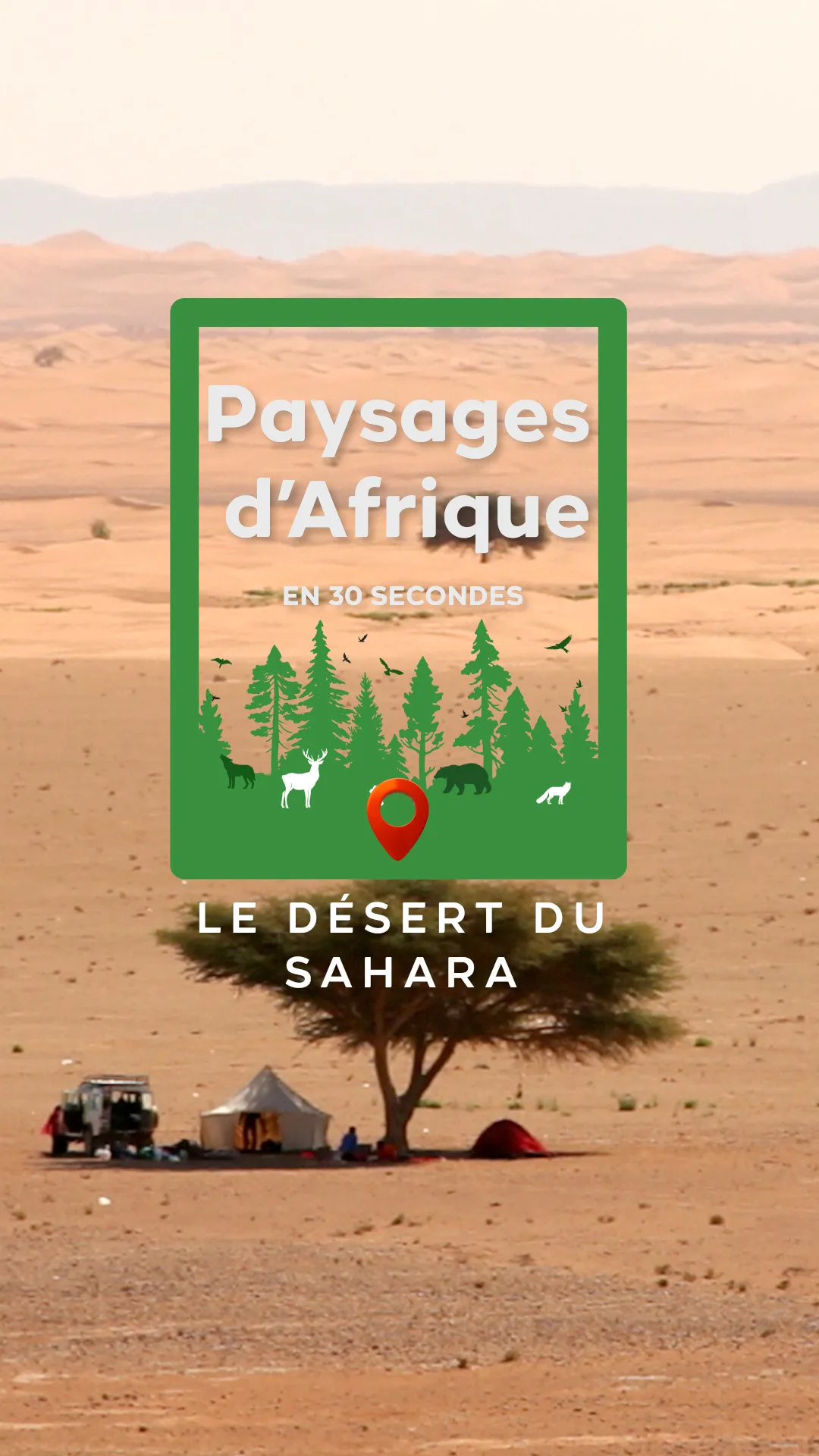 Le Sahara : Une beauté austère qui fascine et inspire