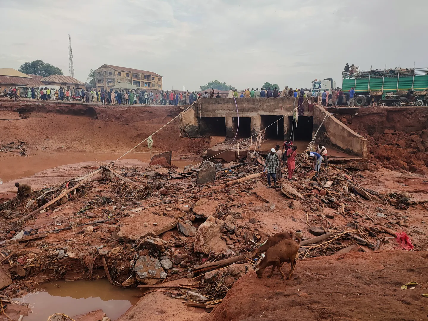 Nigeria floods death toll rises above 150, thousands displaced