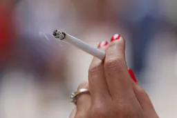 Il Costo Ambientale delle Sigarette