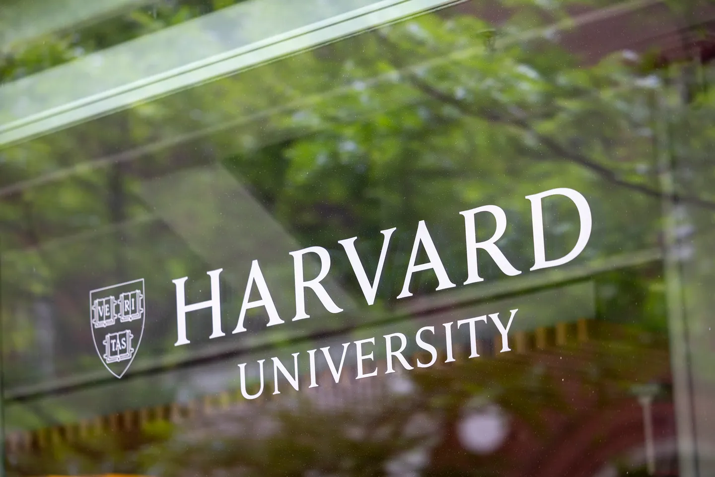 Medien: US-Regierung zielt erneut auf Harvard ab