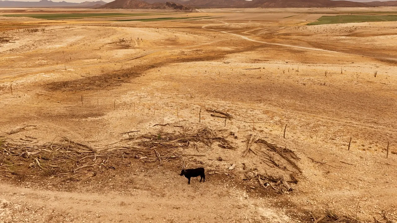 UN seeks $160 million for food crisis in northeast Nigeria