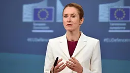 BE-ja porosit Izraelin: Ndihma humanitare në Gaza duhet të rifillojë menjëherë