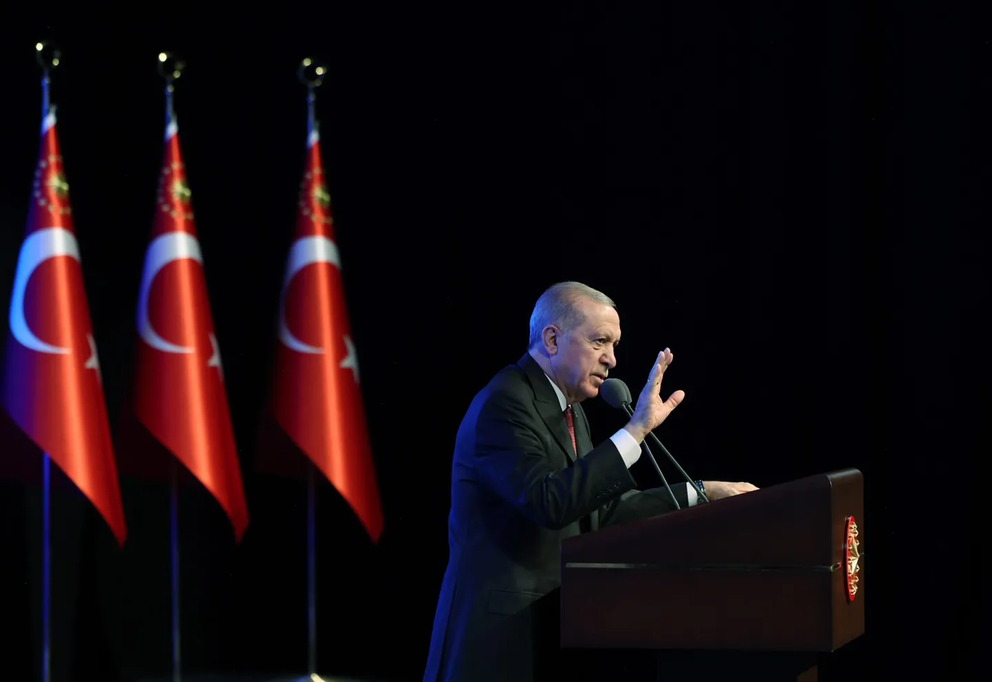 Türkiye targets 120,000 megawatts of renewable energy capacity by 2035 — Erdogan