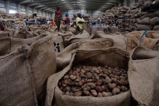 Côte d'Ivoire crackdown on cashew nut smuggling pays off
