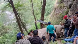 Chopper crash kills six in northern India