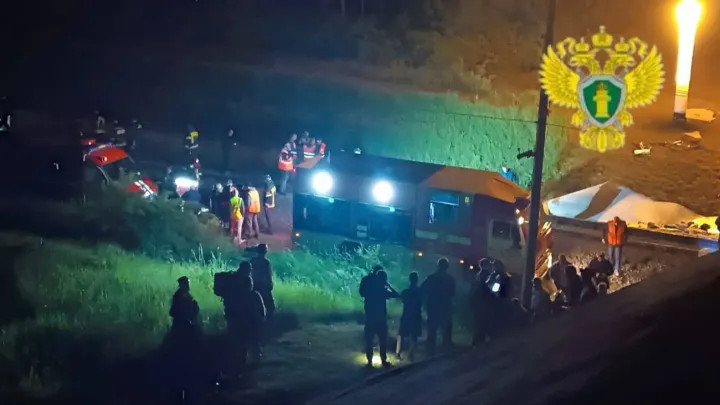Deaths as bridge collapses in Russia's Bryansk region