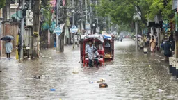 Heavy rains in northeast India kill at least 30