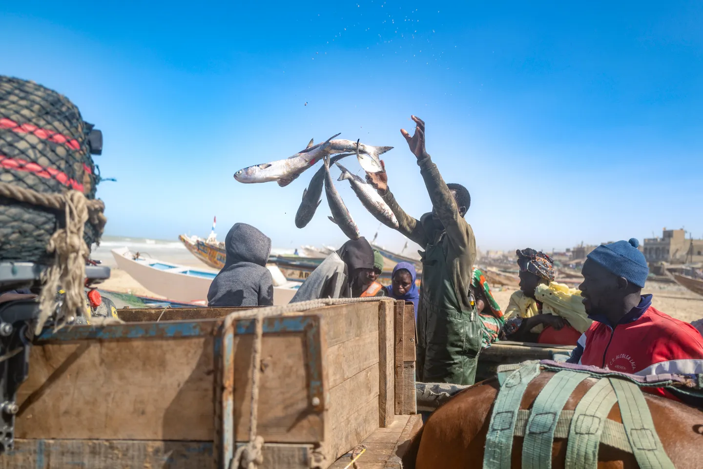 Senegal's fishing communities threatened by British, US giants' gas project