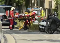 Tragjedia në Austri, mes viktimave edhe një nxënëse shqiptare