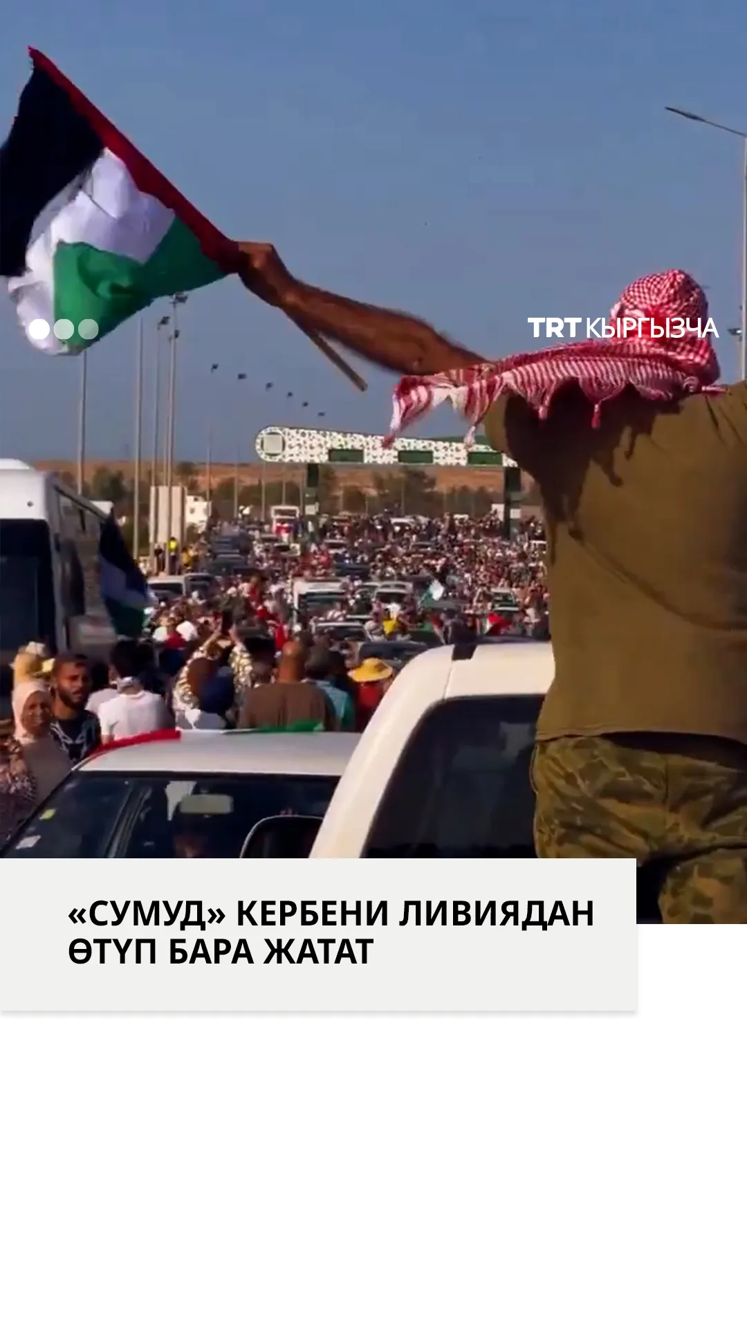 Палестинаны жактаган "Сумуд" кербени Ливиядан өтүп бара жатат