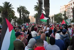 L'Égypte expulse des dizaines d’activistes qui voulaient marcher vers Gaza