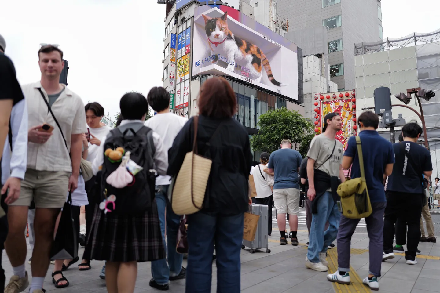 健康保険証、12月からマイナンバーカードに統合