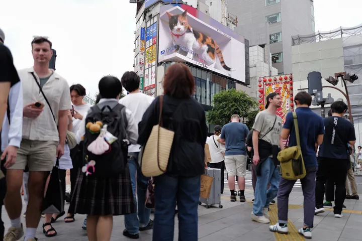 健康保険証、12月からマイナンバーカードに統合