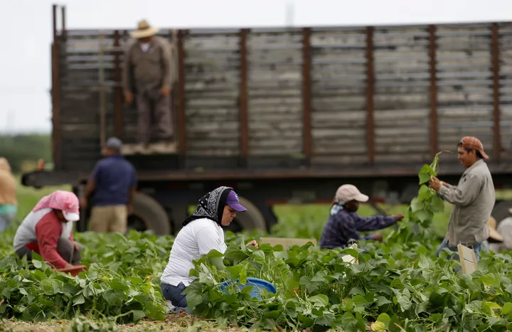 Trump pauses ICE raids on farms, hotels amid backlash over migrant labor crackdown — Report