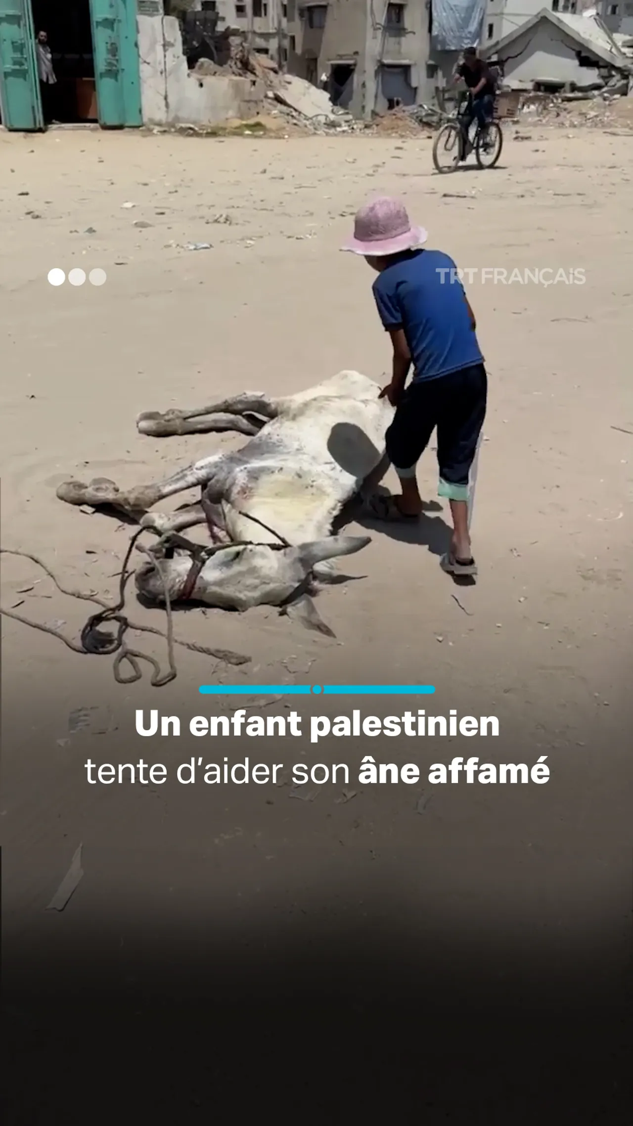 Un enfant palestinien tente d’aider son âne affamé