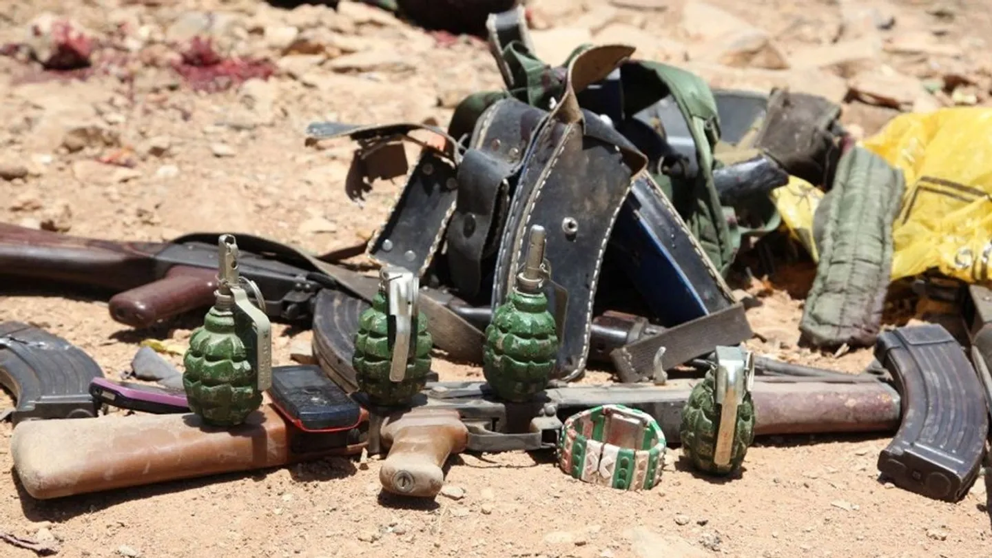 At least 25 al-Shabaab terrorists killed in Somalia air strike
